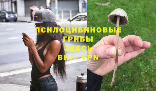 мескалин Горнозаводск